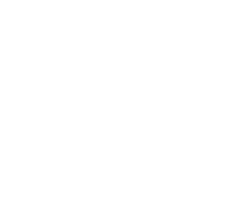 Core Endodontics Logo